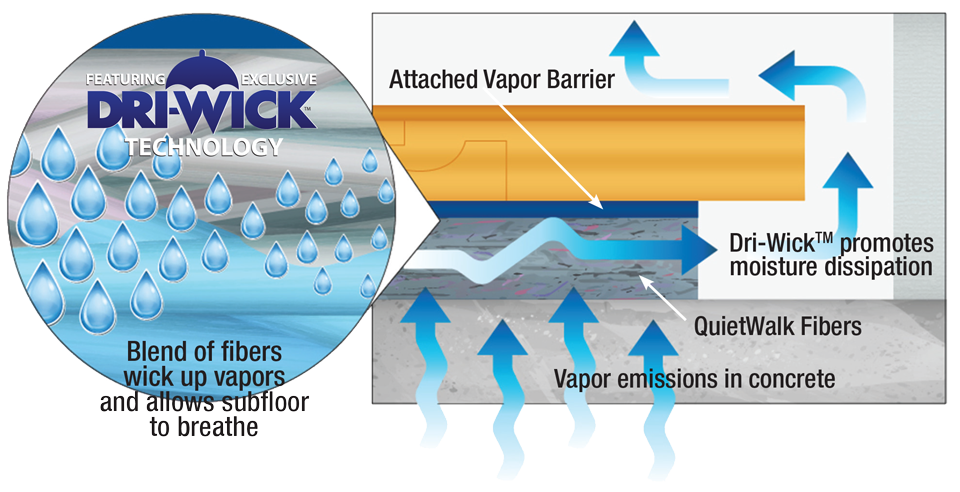 DriWick Technology Infographic